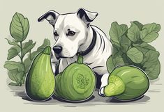 a white dog standing next to some green vegetables