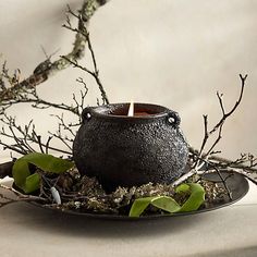 a candle is sitting on a plate with moss