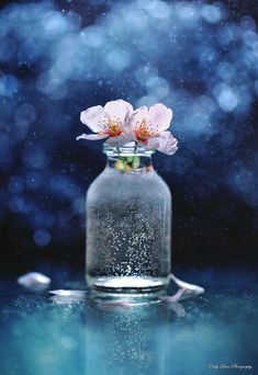 a glass jar with water and flowers in it