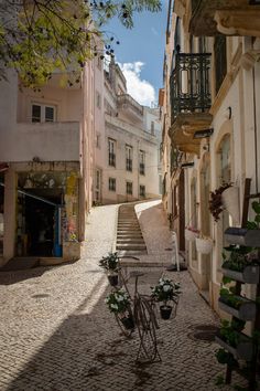 an alleyway with stairs and potted plants on the ground in front of buildings