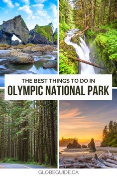 the best things to do in olympic national park