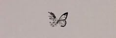 a black and white photo of a butterfly with flowers on it's back side