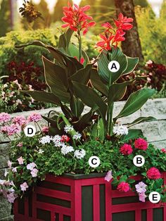 a red planter filled with lots of flowers