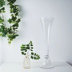 there is a vase and a plant on the table