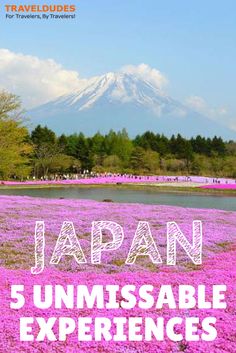 the words japan 5 unmissable experiences in front of a mountain with pink flowers