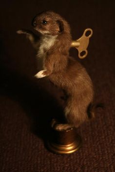 a small rodent standing on its hind legs with a pair of scissors in it's mouth