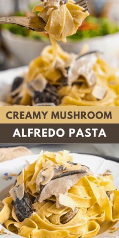 creamy mushroom alfredo pasta on a white plate with a fork in it and the title overlay reads, creamy mushroom alfredo pasta