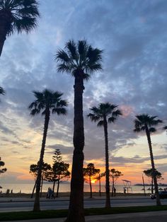 palm trees are silhouetted against the setting sun at an oceanfront park in florida