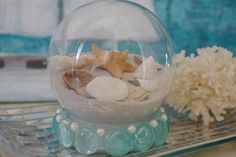 a glass bowl filled with sand and sea shells on top of a metal shelf next to a coral