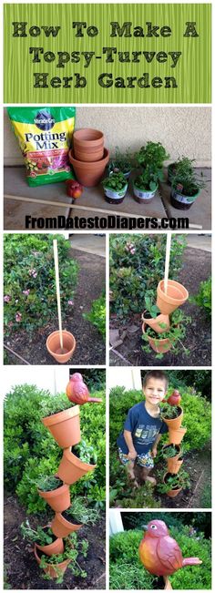 a collage of photos showing how to make a bird feeder out of clay pots