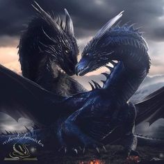 Sgaeyl And Tairn, Tairn And Sgaeyl, Fourth Wing Dragon Wallpaper, Forth Wing Tattoo Ideas, Tarin Forth Wing, Forth Wing Wallpapers, Tairn And Andarna, Fourth Wing Threshing