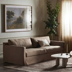 a living room with a couch, coffee table and potted plant in the corner