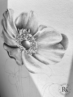 a black and white drawing of a flower on a paper with watercolor pencils