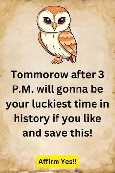 an owl with the words tomorrow after 3 pm will gonna be your luckest time in history if you like and save this