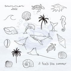 an ink drawing of sea animals and seashells on a white background with the words it feels like summer