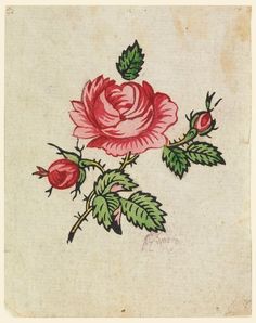 an old - fashioned drawing of two roses with green leaves