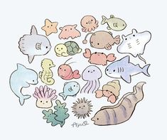 a bunch of different types of sea animals