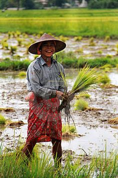 a woman standing in the middle of a rice field holding some green plants and smiling