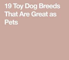 the words 19 toy dog breeds that are great as pets on a light pink background