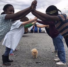 three children are holding hands with a small dog in front of them and one is standing on the ground