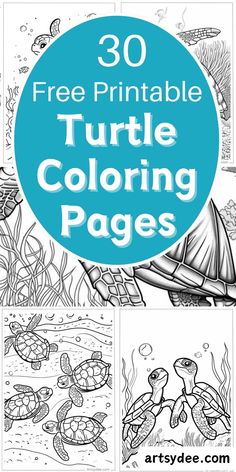 turtle coloring pages for kids with the title, 30 free printable turtle coloring pages