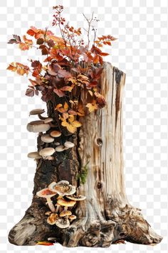 an old tree stump with mushrooms and leaves on it, against a white background png