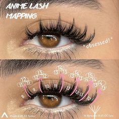 Lash Placement, Lash Maps, Lash Map, Lash Mapping, Lash Technician, Lashes Tutorial, Lashes Fake Eyelashes, Lash Growth Serum, Eyelash Technician