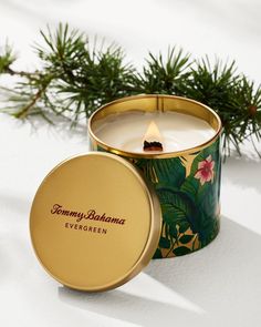 a candle that is sitting inside of a tin next to some pine branches and leaves