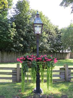 a lamp post with flowers growing on it in the middle of a yard next to a fence