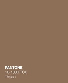 Color Backgrounds, Solid Color Backgrounds, Color Balance, Color Textures, Pantone Color