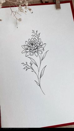 a piece of paper with a drawing of a flower on it next to some dried flowers