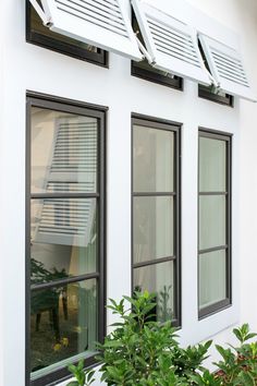 two windows with blinds on each side and plants in the foreground, outside an office building