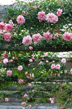 pink flowers growing on the side of a wooden structure with green leaves and vines around it