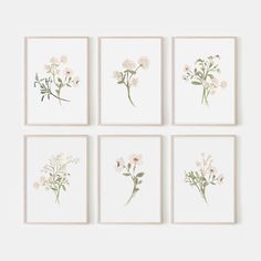 four framed floral prints on a white wall