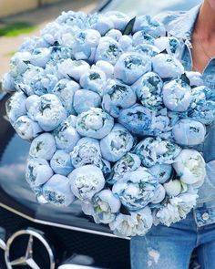 a bunch of blue flowers sitting on the hood of a car