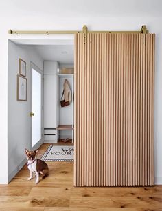 a dog sitting on the floor in front of a sliding door with wood slats