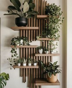 some plants are sitting on wooden shelves in front of a wall mounted planter that is made out of wood slats