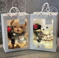 two teddy bears are sitting in small bags