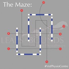 the maze is shown in blue, white and grey with red dots on each side