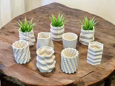 several white vases with plants in them sitting on a wooden table next to each other