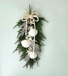 an arrangement of seashells and pine branches on a blue wall with a bow