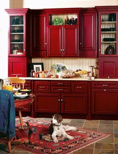 a dog sitting in the middle of a kitchen with red cabinets and an area rug