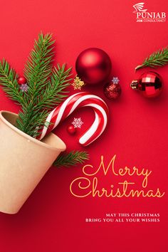 a christmas card with candy canes and ornaments on a red background that says merry christmas may this christmas bring you all your wishes