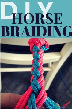 a hand holding a pink and blue rope with the words diy horse braiding on it