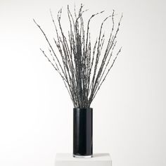 there is a black vase with branches in it