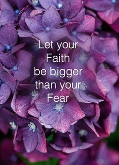 purple flowers with the words let your faith be bigger than your fear