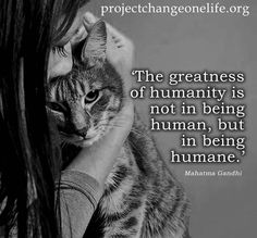 a woman holding a cat in her arms with the caption, the greatness of human is not in being human, but in being human