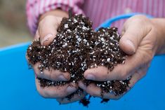 a person holding soil in their hands with white flecks on top of it