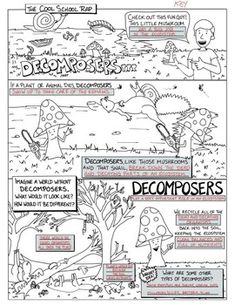 a comic strip about decomposers and how they use them to make their own comics