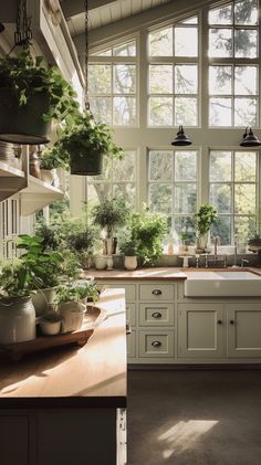 a kitchen filled with lots of potted plants